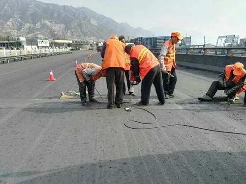 宾县道路桥梁病害治理